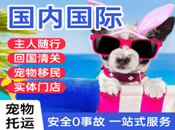 牡丹江航空物流国际宠物托运 【国